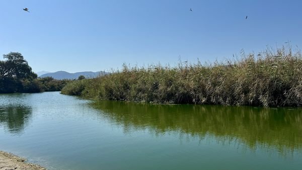 Aposelemis Wildlife Refuge near Gouves