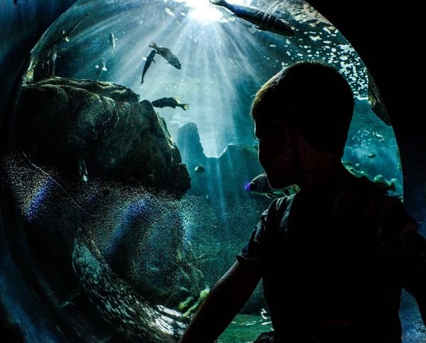 CRETAquarium Thalassokosmos at Gournes near Gouves