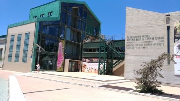 Natural History Museum of Crete - geology, wildlife, and Mediterranean ecosystems